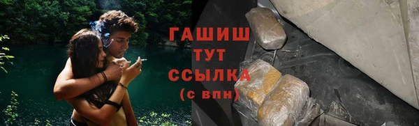 сатива Алзамай